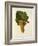 Sauvignon Grape-J. Troncy-Framed Giclee Print