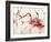 Sauvignon-Joshua Schicker-Framed Giclee Print