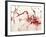 Sauvignon-Joshua Schicker-Framed Giclee Print