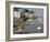 Sauzon Port, Belle Ile, Brittany, France, Europe-Groenendijk Peter-Framed Photographic Print