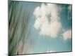 Premium Photographic Print