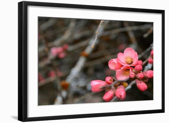 Photo, , large
