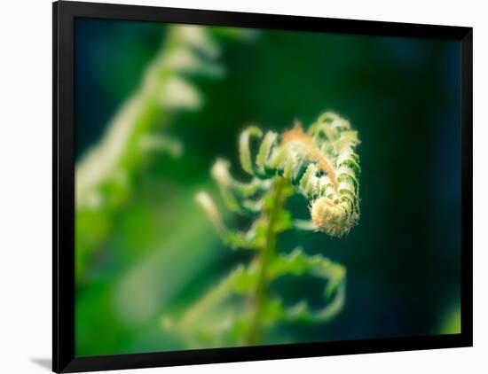 Photo, , large