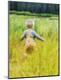 Premium Photographic Print