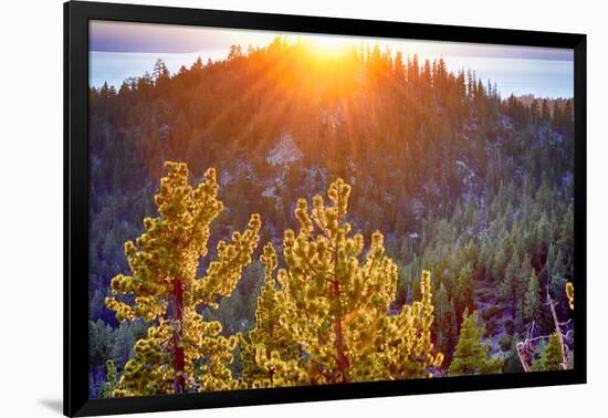 Photographic Print, , large
