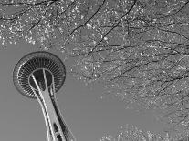 Seattle skyline from Alki, Seattle, Washington State, USA-Savanah Stewart-Photographic Print