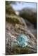 Premium Photographic Print