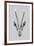 Savane Antelope - Noir-Emilie Ramon-Framed Giclee Print