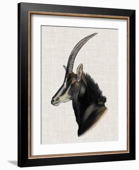 Savanna Impressions III-Naomi McCavitt-Framed Art Print