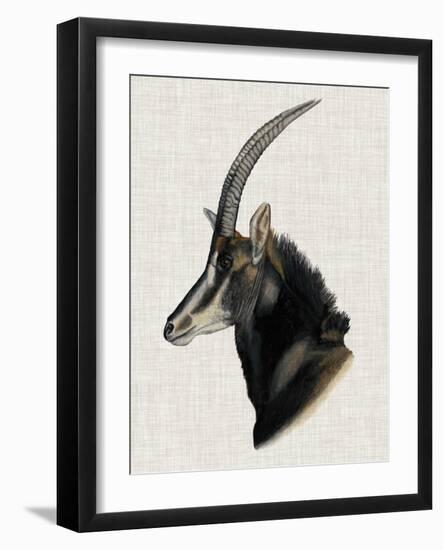 Savanna Impressions III-Naomi McCavitt-Framed Art Print