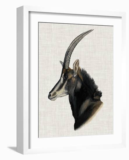 Savanna Impressions III-Naomi McCavitt-Framed Art Print