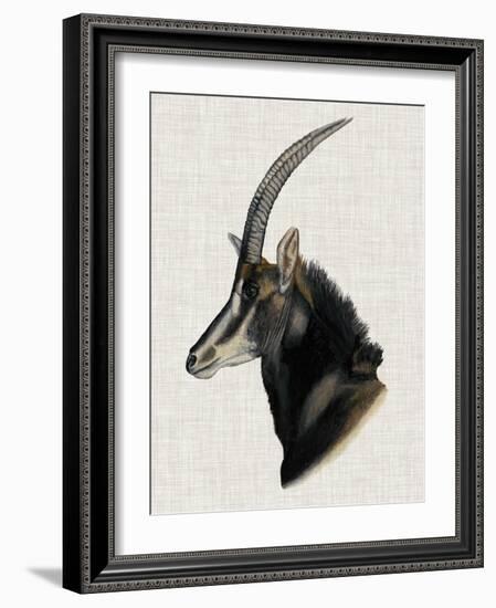 Savanna Impressions III-Naomi McCavitt-Framed Art Print