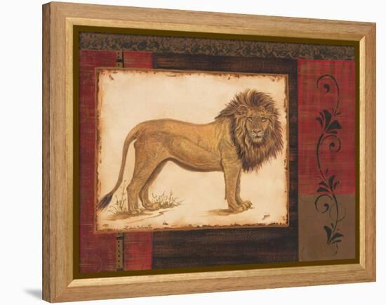 Savanna Lion-Linda Wacaster-Framed Stretched Canvas