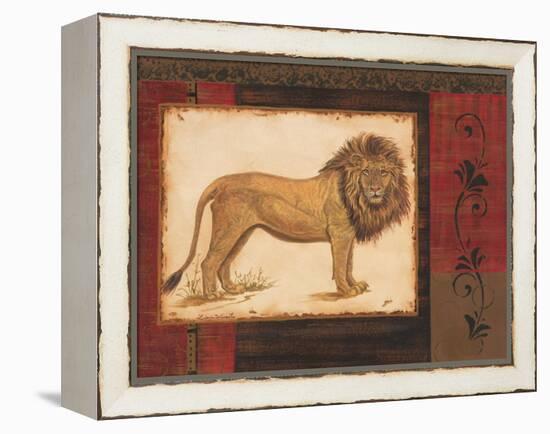 Savanna Lion-Linda Wacaster-Framed Stretched Canvas