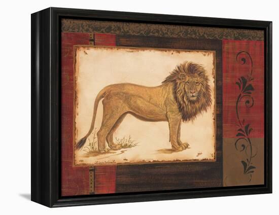 Savanna Lion-Linda Wacaster-Framed Stretched Canvas