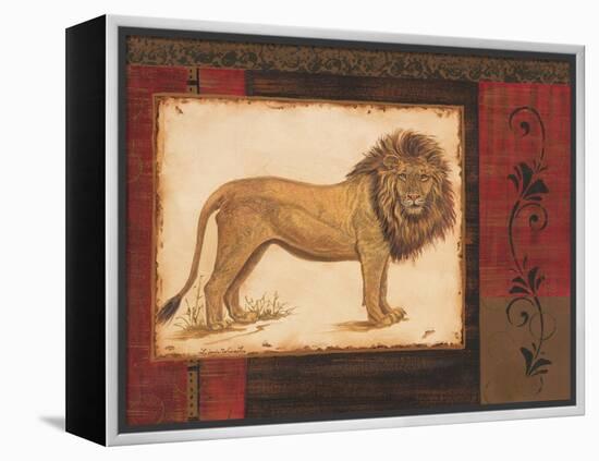 Savanna Lion-Linda Wacaster-Framed Stretched Canvas