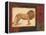 Savanna Lion-Linda Wacaster-Framed Stretched Canvas