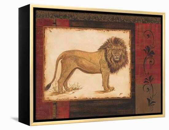 Savanna Lion-Linda Wacaster-Framed Stretched Canvas