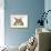 Savannah Brown Tabby Lying Down-null-Framed Photographic Print displayed on a wall