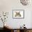 Savannah Brown Tabby Lying Down-null-Framed Photographic Print displayed on a wall
