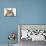 Savannah Brown Tabby Lying Down-null-Mounted Photographic Print displayed on a wall