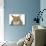 Savannah Brown Tabby Lying Down-null-Photographic Print displayed on a wall