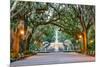 Savannah, Georgia, USA at Forsyth Park Fountain.-SeanPavonePhoto-Mounted Photographic Print
