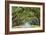 Savannah, Georgia, USA Oak Tree Lined Road at Historic Wormsloe Plantation.-SeanPavonePhoto-Framed Premium Photographic Print