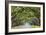 Savannah, Georgia, USA Oak Tree Lined Road at Historic Wormsloe Plantation.-SeanPavonePhoto-Framed Premium Photographic Print