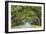 Savannah, Georgia, USA Oak Tree Lined Road at Historic Wormsloe Plantation.-SeanPavonePhoto-Framed Premium Photographic Print