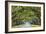 Savannah, Georgia, USA Oak Tree Lined Road at Historic Wormsloe Plantation.-SeanPavonePhoto-Framed Premium Photographic Print