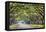 Savannah, Georgia, USA Oak Tree Lined Road at Historic Wormsloe Plantation.-SeanPavonePhoto-Framed Premier Image Canvas