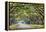 Savannah, Georgia, USA Oak Tree Lined Road at Historic Wormsloe Plantation.-SeanPavonePhoto-Framed Premier Image Canvas