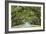 Savannah, Georgia, USA Oak Tree Lined Road at Historic Wormsloe Plantation.-SeanPavonePhoto-Framed Photographic Print