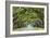 Savannah, Georgia, USA Oak Tree Lined Road at Historic Wormsloe Plantation.-SeanPavonePhoto-Framed Photographic Print