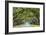 Savannah, Georgia, USA Oak Tree Lined Road at Historic Wormsloe Plantation.-SeanPavonePhoto-Framed Photographic Print