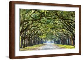 Savannah, Georgia, USA Oak Tree Lined Road at Historic Wormsloe Plantation.-SeanPavonePhoto-Framed Photographic Print