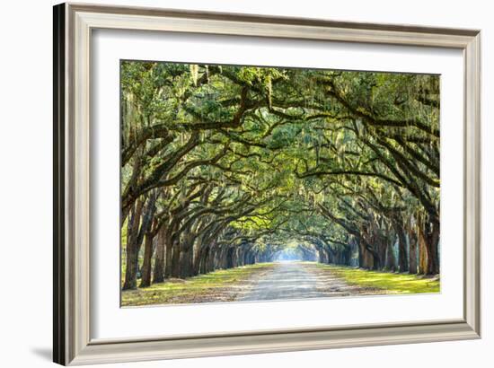 Savannah, Georgia, USA Oak Tree Lined Road at Historic Wormsloe Plantation.-SeanPavonePhoto-Framed Photographic Print