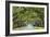 Savannah, Georgia, USA Oak Tree Lined Road at Historic Wormsloe Plantation.-SeanPavonePhoto-Framed Photographic Print