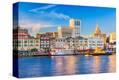 Stretched Canvas Print