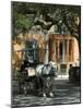 Savannah, Georgia, USA-Ethel Davies-Mounted Photographic Print
