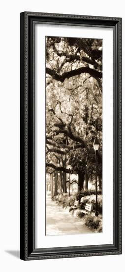 Savannah in Sepia I-Alan Hausenflock-Framed Photographic Print