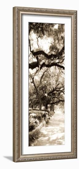 Savannah in Sepia II-Alan Hausenflock-Framed Photographic Print