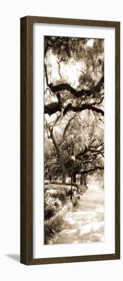 Savannah in Sepia II-Alan Hausenflock-Framed Photographic Print