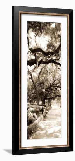 Savannah in Sepia II-Alan Hausenflock-Framed Photographic Print