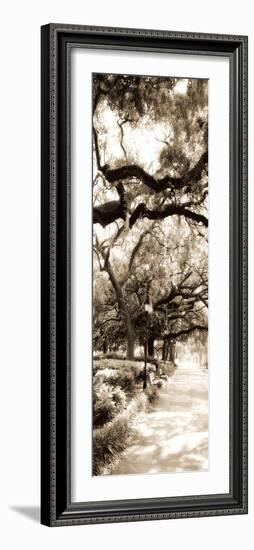 Savannah in Sepia II-Alan Hausenflock-Framed Photographic Print