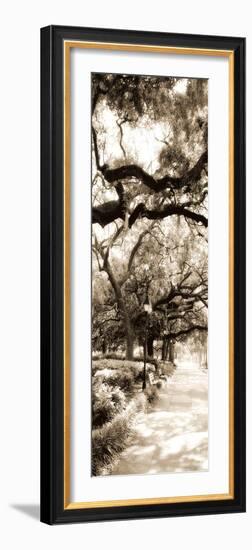 Savannah in Sepia II-Alan Hausenflock-Framed Photographic Print