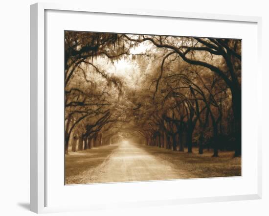 Savannah Oaks I-Alan Hausenflock-Framed Photographic Print