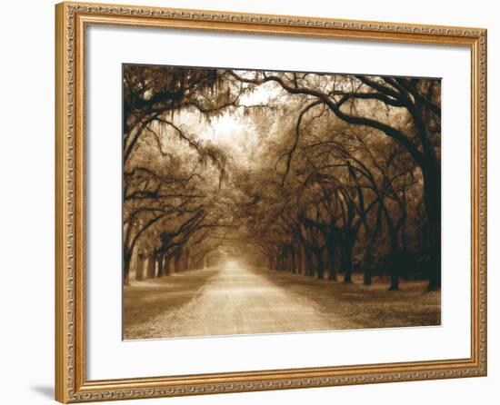 Savannah Oaks I-Alan Hausenflock-Framed Photographic Print