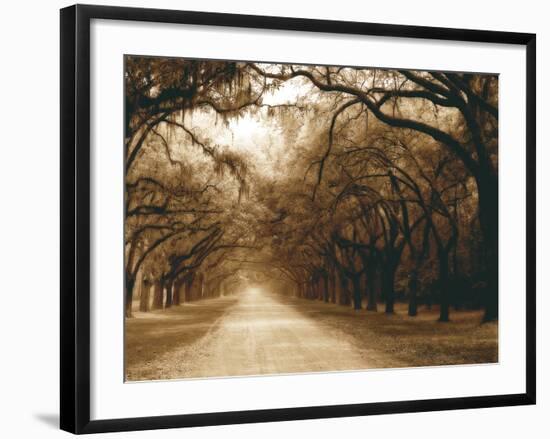 Savannah Oaks I-Alan Hausenflock-Framed Photographic Print